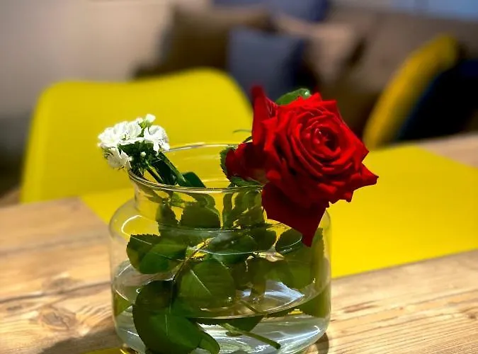 アパート Auszeit